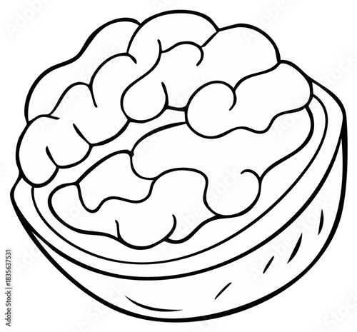 Black outline drawing of a walnut half revealing the healthy kernel inside
