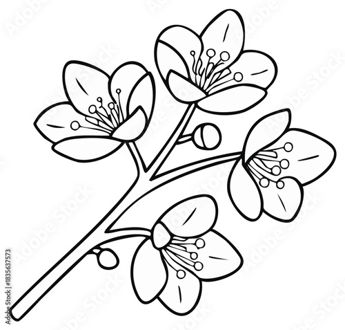 Elegant Blossom Line Art Floral Twig Illustration Flowers with Detailed Pollen Design
