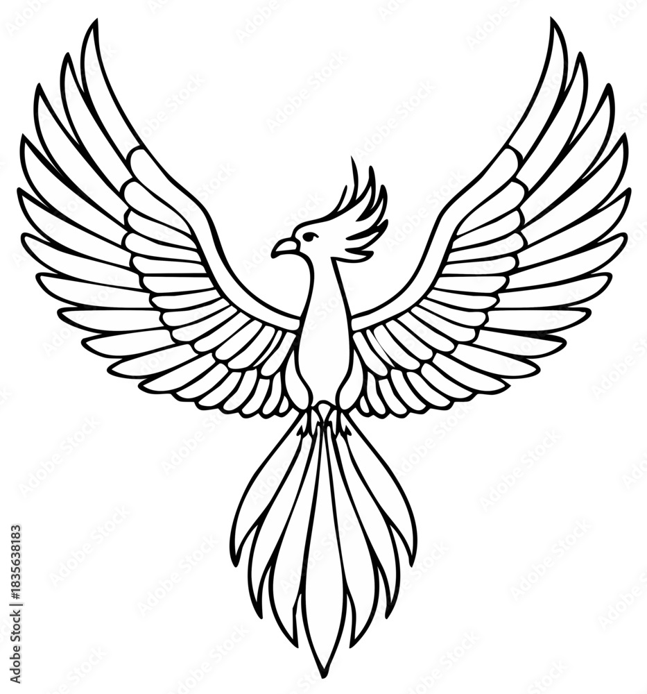 Obraz premium Phoenix bird in flight outline illustration black and white