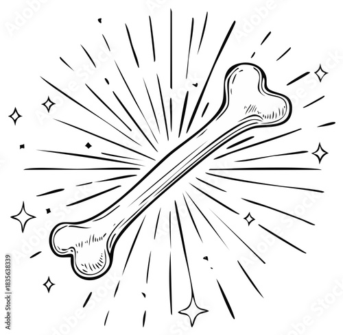 Hand drawn shining animal bone illustration with radiating light lines and sparkly star details