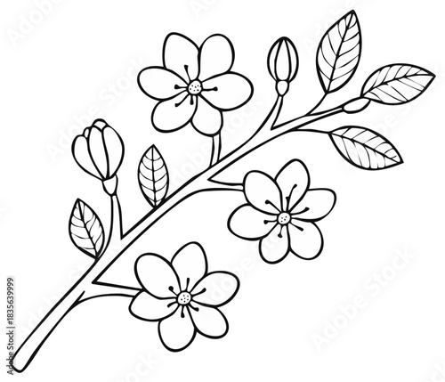 Blooming spring flower branch with blossoms and leaves black and white line art for coloring