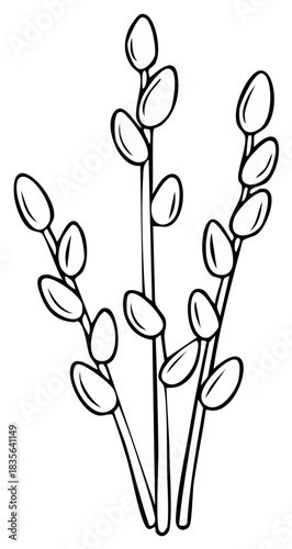 Hand drawn pussy willow branches with catkins simple black line art for spring and Easter decoration