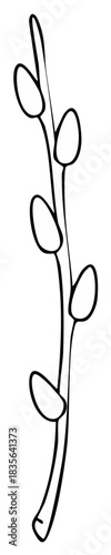 Minimalist Line Art Depiction of Pussy Willow Branch Symbolizing Spring Awakening and Floral Simplicity