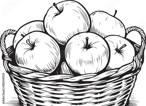 Handdrawn Vintage Apple Basket Filled with Fresh Harvest Fruit, Perfect for Healthy Food Recipes
