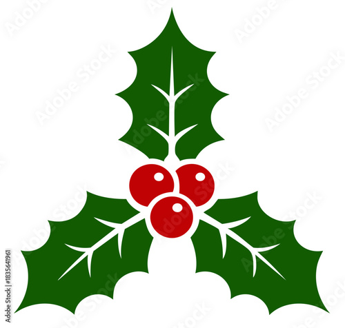 Holly Leaves and Berries