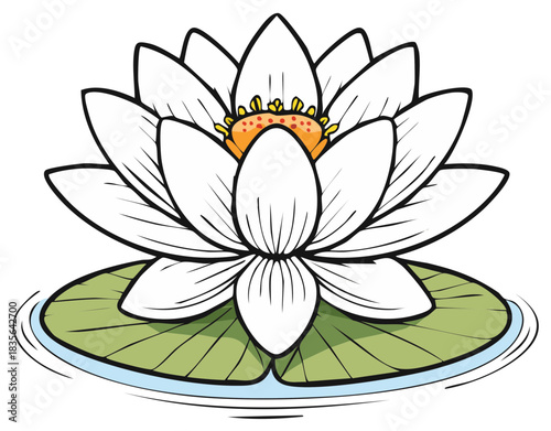 Cartoon illustration of a white water lily flower blooming on a green lily pad in water