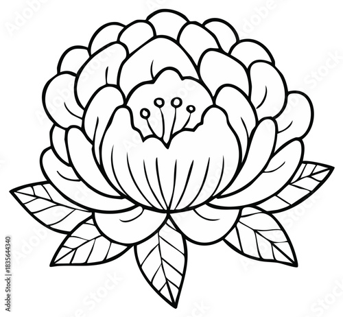 Stylized black outline flower illustration, ornate botanical design with delicate petals and leaves