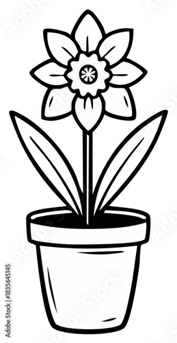 Black and white line art illustration of a daffodil flower in a pot spring plant