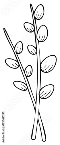 Line drawing of pussy willow stems with oval shaped leaves in black and white