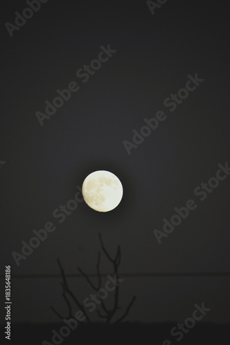 Full Moon Over Minimal Night