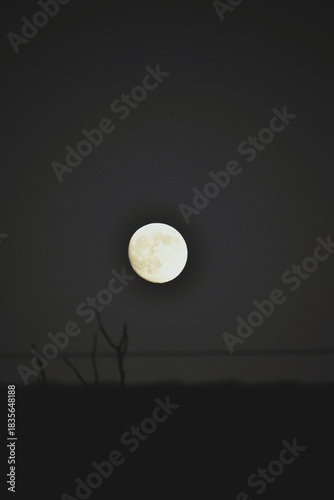 Glowing Moon Rising Above Dark Silhouette