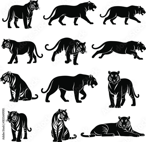 Collection of black tiger silhouettes in various poses on white