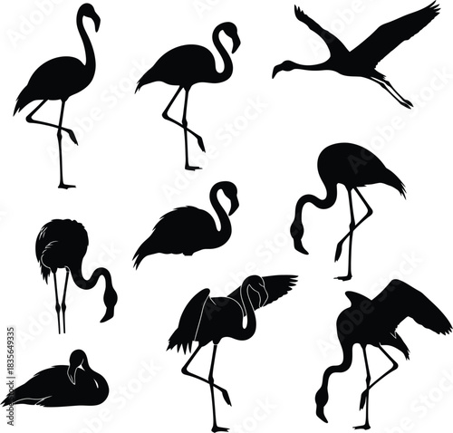 Flamingo silhouette collection black and white vector illustration