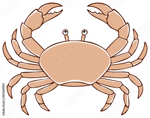 Simple symmetrical illustration of a beige crab with large raised claws and cute eyes