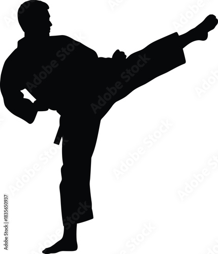 Martial arts silhouette, side kick pose, karate uniform, taekwondo action, high kick, black belt, outline style, discipline, strength