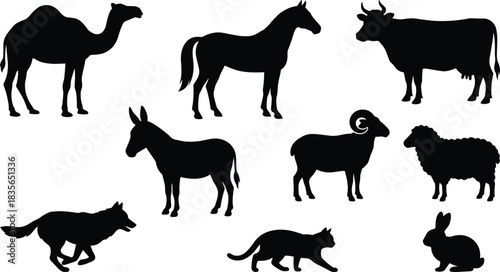 Silhouette, domestic animals, camel, horse, cow, goat, sheep, dog, cat, rabbit, black, minimal, illustration, nature, agriculture, pet, livestock, farm, white background, animal shapes, classification
