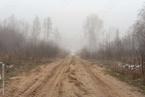Misty forest sand road fading into thick fog, flanked by bare trees. Atmospheric late autumn or early winter scene evoking mystery and solitude. Ideal for travel, nature, or moody backgrounds