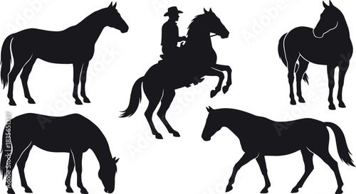 Silhouette, horse, rider, rearing, grazing, standing, motion, black, minimal, illustration, animal, equestrian, pose, dynamic, concept, nature, freedom, behavior, white background, stylized