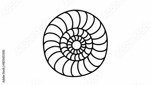 A captivating illustration of a nautilus shell in a spiral shape, showcasing a unique and intricate pattern