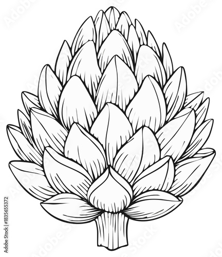 Detailed Black and White Artichoke Illustration with Leafy Texture and Botanical Elements for Culinary Art