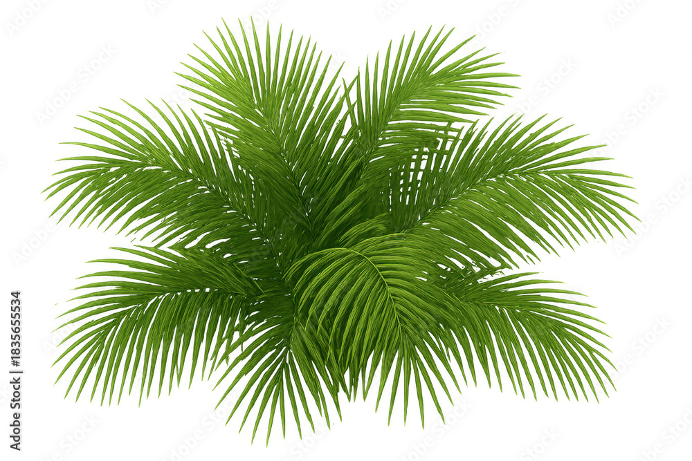 Naklejka premium Green tropical palm frond leaves on transparent background providing summer vacation nature design element