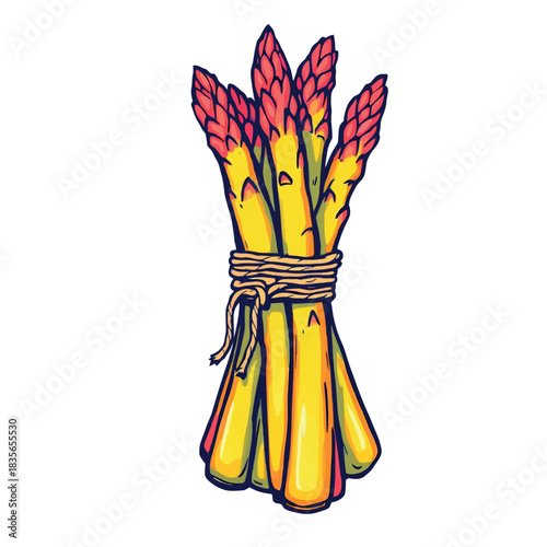 Vsai asparagus spears tied in a fresh vegetable bunch