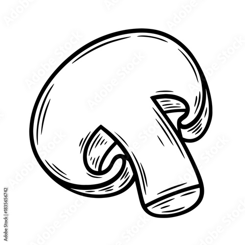 Hand drawn champignon mushroom, monochrome engraving, line art style vector illustration isolated on white background	