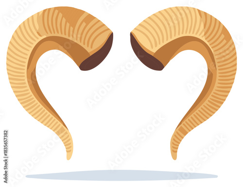 Symmetrical pair of ridged ram horns forming a love heart shape vector illustration