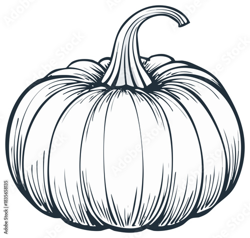Illustrated pumpkin isolated on white background