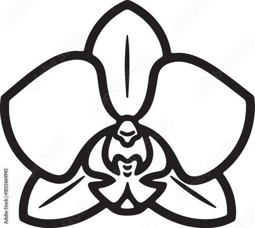 Orchid Flower Line Art Minimal Vector Icon