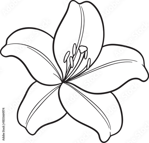 Minimalist Rose Flower One-Line Art Vector Icon. Simple Botanical Outline Symbol. Modern Floral Design Element for Logo, Wedding, or Valentine Decoration.