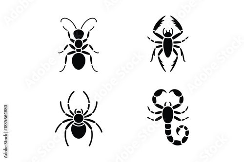 Four silhouettes of insects and arachnids on white background