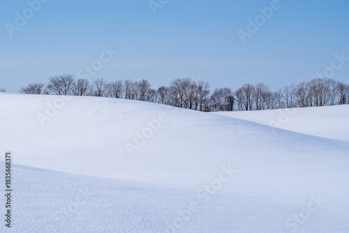 Wallpaper Mural The gentle snowy landscape depicted by the light Torontodigital.ca