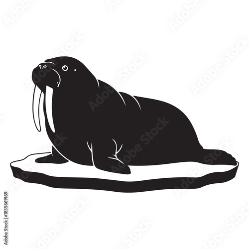 black sea lion and black dog seal vector illustration