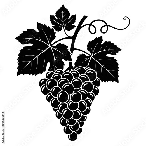 Black silhouette of grapes. Vector illustration of black silhouette of bunch of grapes with leaves. Transparent background SVG version.