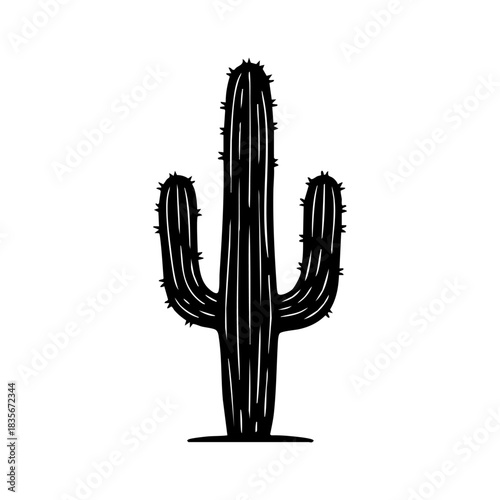 cactus silhouette