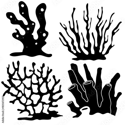 coral reef silhouette