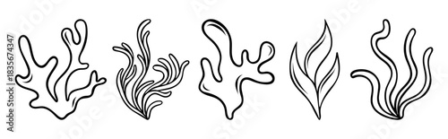 collection of sea coral and algae, underwater marine life, simple vector black and white icon, doodle and sketch style