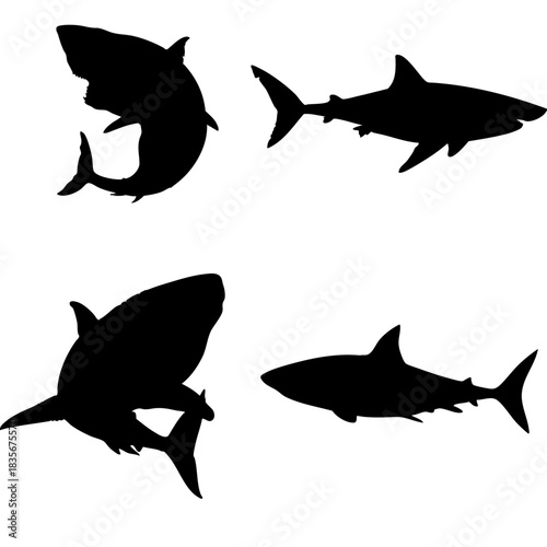 shark swimming silhouette