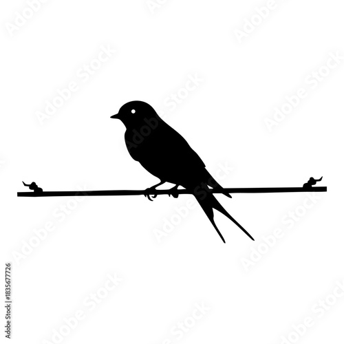 bird perched on wire silhouette