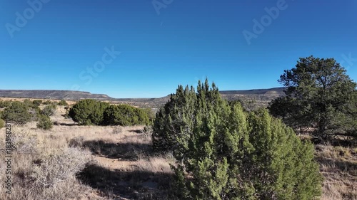 The Pecos Wilderness is a large protected area within the Santa Fe National Forest, encompassing alpine meadows, pine forests, canyons, and high-altitude lakes.