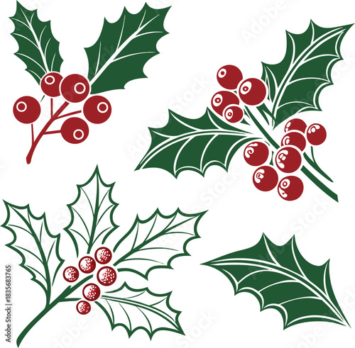 Holly berry icons set, Chritmas logo wirh holly berries - set vector