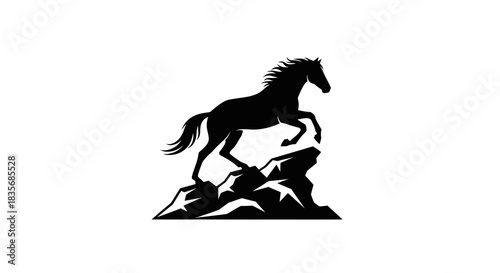 Silhouette of a Horse Standing on Rocks Black and White.