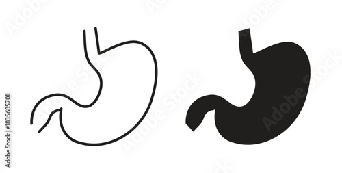 Stomach icons, vector symbols. filled flat sign