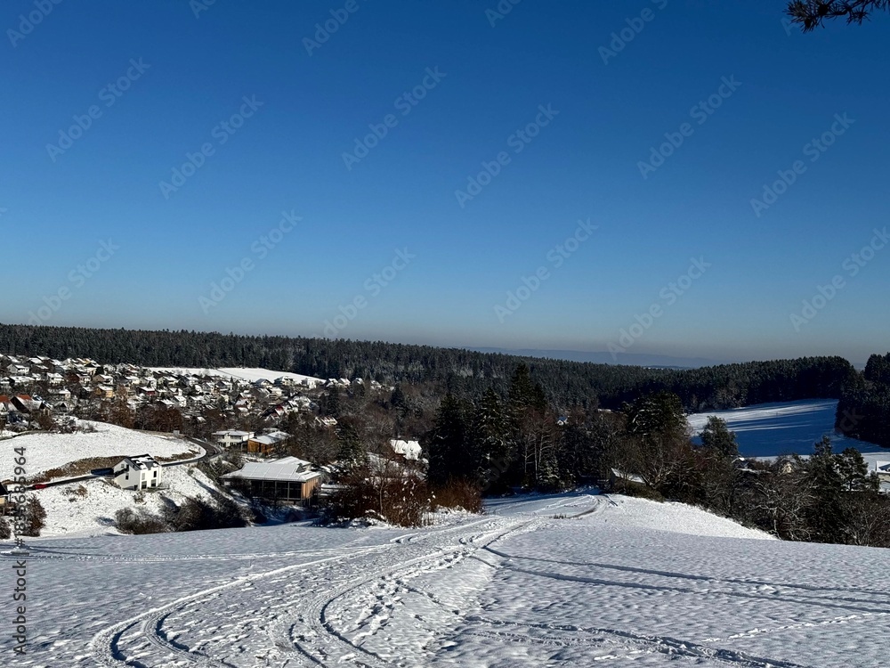 Obraz premium Winter forest landscape with snow, trees and sunlight