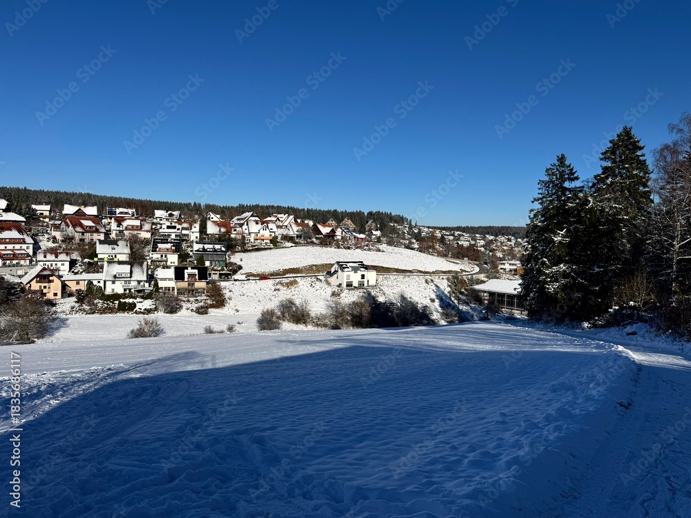 Fototapeta premium Winter forest landscape with snow, trees and sunlight