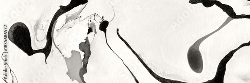 Black and white abstract painting with organic shapes and fluid lines. Modern artistic background showing flowing ink or marble texture.