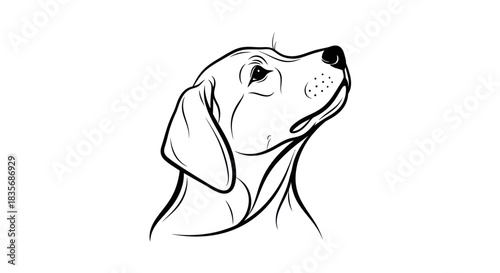 Elegant Line Art Portrait of a Dog Looking Upward with Focus.