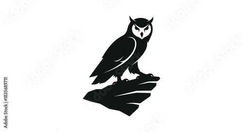 Silhouette of an owl perched on a rock at night.