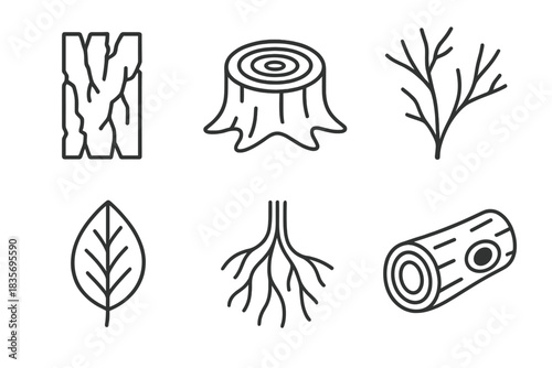 Bark and Timber Icons. Line vector icons of Bark Timber Surroundings: cracked bark, ringed stump, dry branches, hollow log, forest